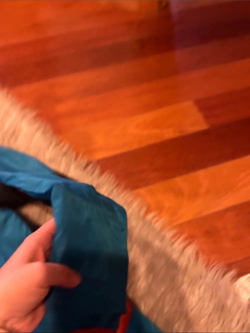 Lands End Kids Winter Polyester Blue & Orange Hooded Jacket
